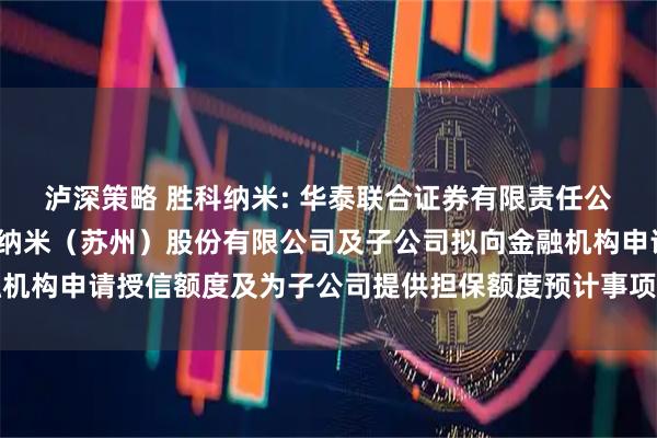 泸深策略 胜科纳米: 华泰联合证券有限责任公司关于2025年度胜科纳米（苏州）股份有限公司及子公司拟向金融机构申请授信额度及为子公司提供担保额度预计事项的核查意见内容摘要