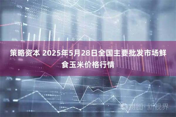 策略资本 2025年5月28日全国主要批发市场鲜食玉米价格行情