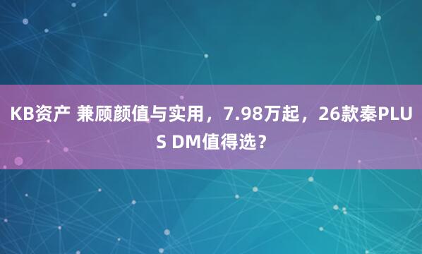 KB资产 兼顾颜值与实用，7.98万起，26款秦PLUS DM值得选？