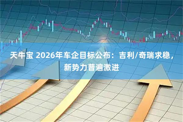 天牛宝 2026年车企目标公布：吉利/奇瑞求稳，新势力普遍激进