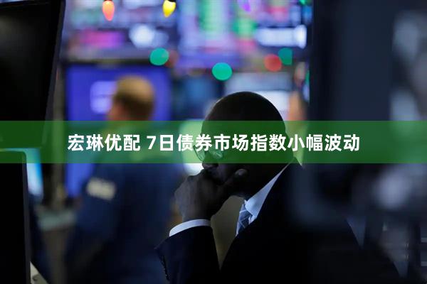 宏琳优配 7日债券市场指数小幅波动