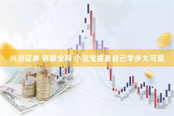 兴泊证券 萌翻全网 小宝宝提着自己学步太可爱