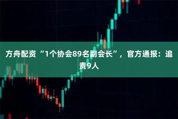 方舟配资 “1个协会89名副会长”，官方通报：追责9人